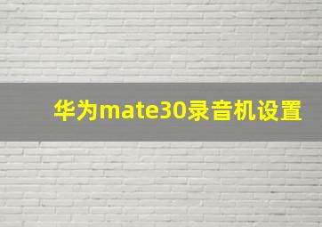 华为mate30录音机设置