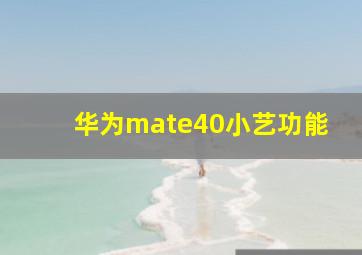 华为mate40小艺功能