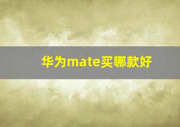 华为mate买哪款好