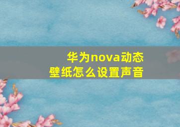 华为nova动态壁纸怎么设置声音