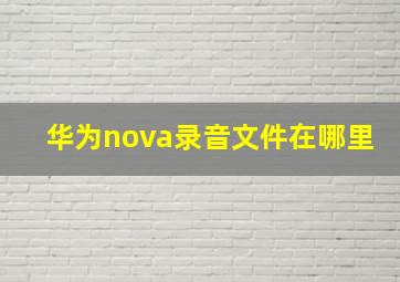 华为nova录音文件在哪里