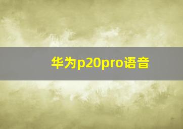 华为p20pro语音