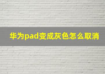 华为pad变成灰色怎么取消