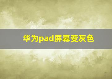 华为pad屏幕变灰色