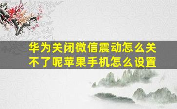 华为关闭微信震动怎么关不了呢苹果手机怎么设置