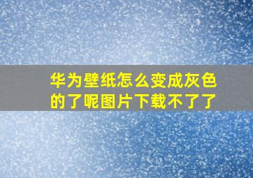 华为壁纸怎么变成灰色的了呢图片下载不了了