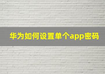 华为如何设置单个app密码