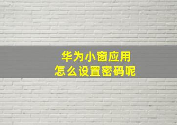 华为小窗应用怎么设置密码呢