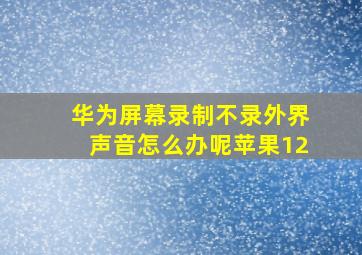 华为屏幕录制不录外界声音怎么办呢苹果12