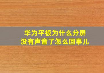 华为平板为什么分屏没有声音了怎么回事儿