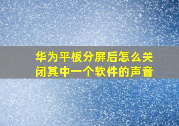 华为平板分屏后怎么关闭其中一个软件的声音