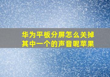 华为平板分屏怎么关掉其中一个的声音呢苹果