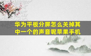 华为平板分屏怎么关掉其中一个的声音呢苹果手机