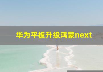 华为平板升级鸿蒙next