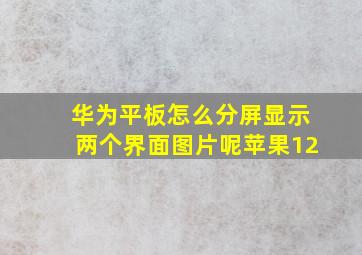 华为平板怎么分屏显示两个界面图片呢苹果12