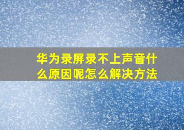 华为录屏录不上声音什么原因呢怎么解决方法