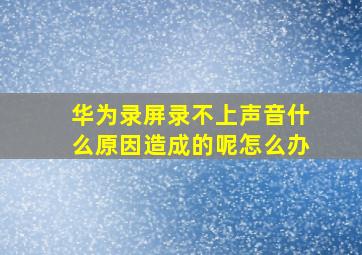 华为录屏录不上声音什么原因造成的呢怎么办