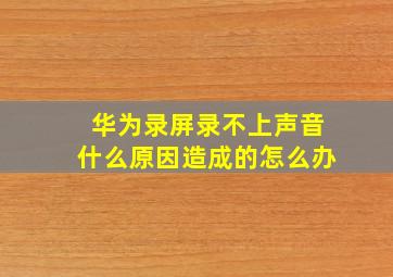 华为录屏录不上声音什么原因造成的怎么办