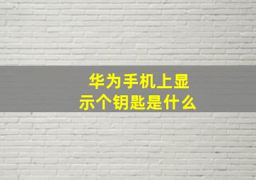 华为手机上显示个钥匙是什么