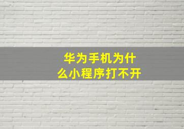 华为手机为什么小程序打不开