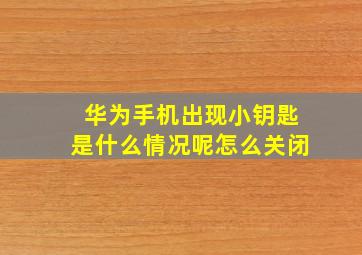 华为手机出现小钥匙是什么情况呢怎么关闭