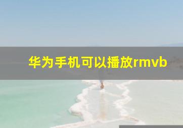 华为手机可以播放rmvb