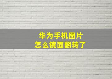 华为手机图片怎么镜面翻转了