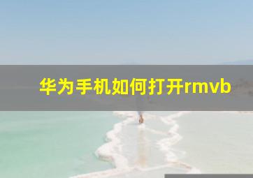 华为手机如何打开rmvb