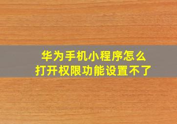 华为手机小程序怎么打开权限功能设置不了