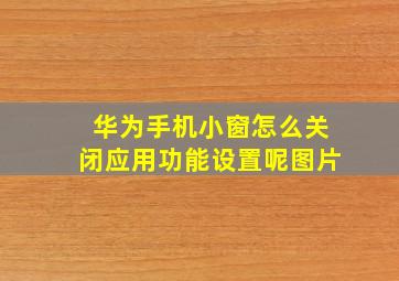 华为手机小窗怎么关闭应用功能设置呢图片