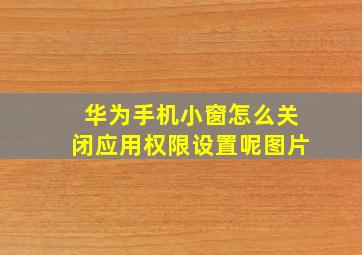 华为手机小窗怎么关闭应用权限设置呢图片