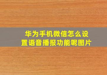 华为手机微信怎么设置语音播报功能呢图片