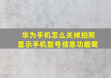 华为手机怎么关掉拍照显示手机型号信息功能呢