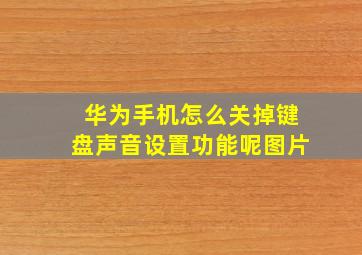 华为手机怎么关掉键盘声音设置功能呢图片