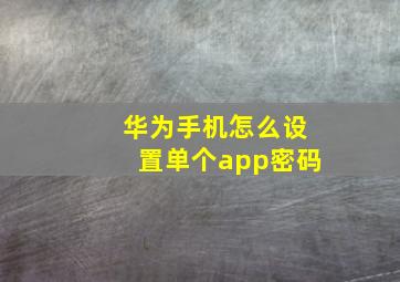 华为手机怎么设置单个app密码