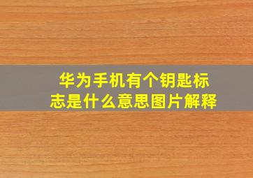 华为手机有个钥匙标志是什么意思图片解释