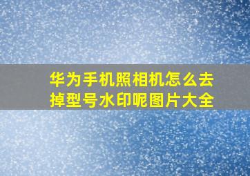 华为手机照相机怎么去掉型号水印呢图片大全