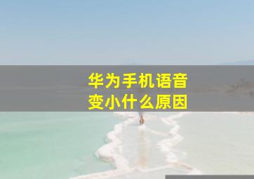 华为手机语音变小什么原因