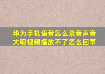 华为手机语音怎么录音声音大呢视频播放不了怎么回事