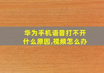 华为手机语音打不开什么原因,视频怎么办