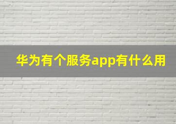 华为有个服务app有什么用