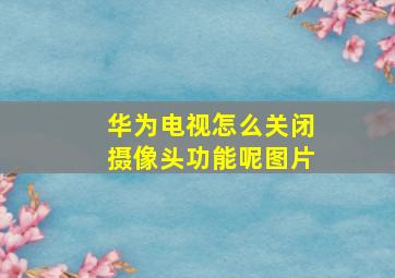 华为电视怎么关闭摄像头功能呢图片