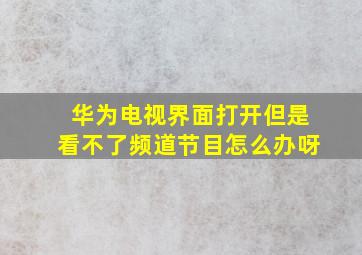 华为电视界面打开但是看不了频道节目怎么办呀