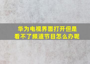 华为电视界面打开但是看不了频道节目怎么办呢