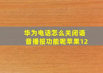 华为电话怎么关闭语音播报功能呢苹果12