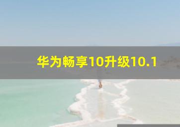 华为畅享10升级10.1