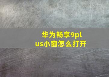 华为畅享9plus小窗怎么打开