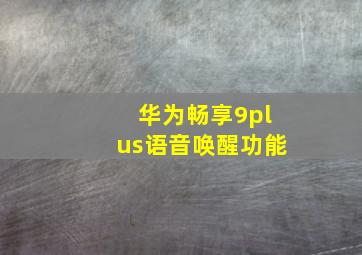 华为畅享9plus语音唤醒功能