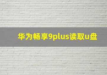 华为畅享9plus读取u盘