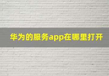 华为的服务app在哪里打开